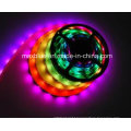 DC12V 30LEDs/M Ws2811 Digital LED Strip Light